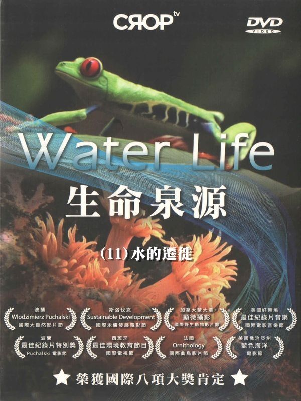 生命泉源(11)水的遷徙