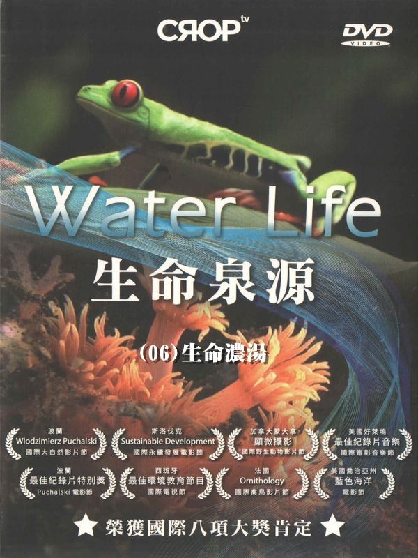 生命泉源(06)生命濃湯