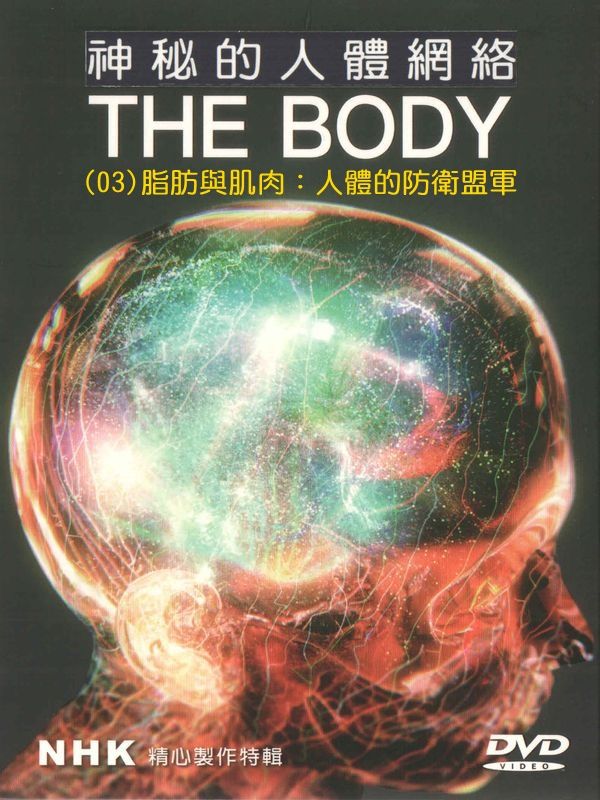 神秘的人體網絡(03)脂肪與肌肉：人體的防衛盟軍