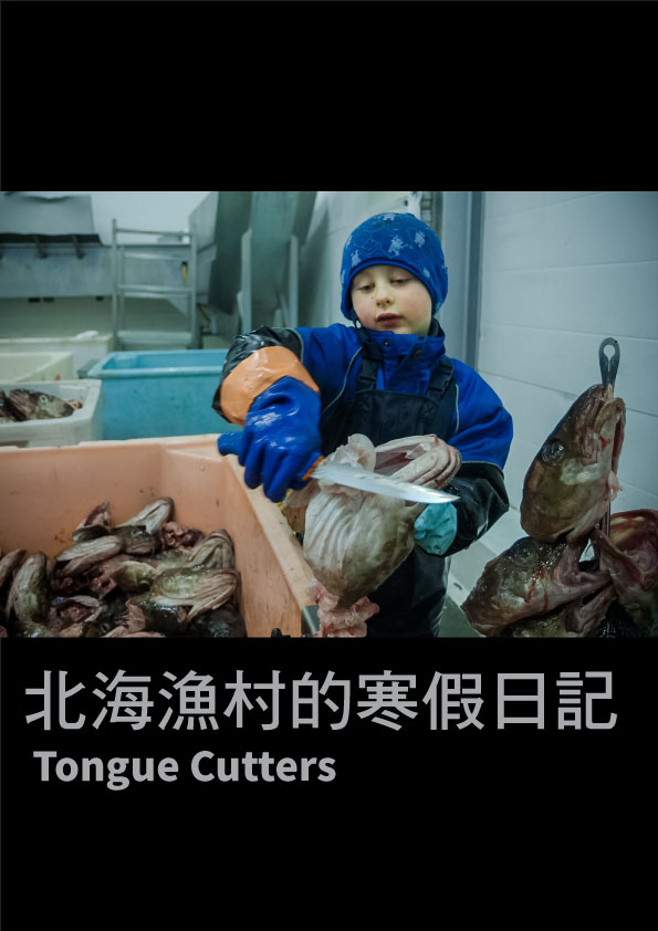北海漁村的寒假日記