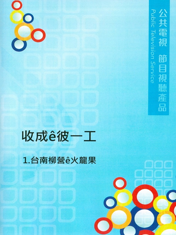 收成ê彼一工 1.台南柳營e火龍果