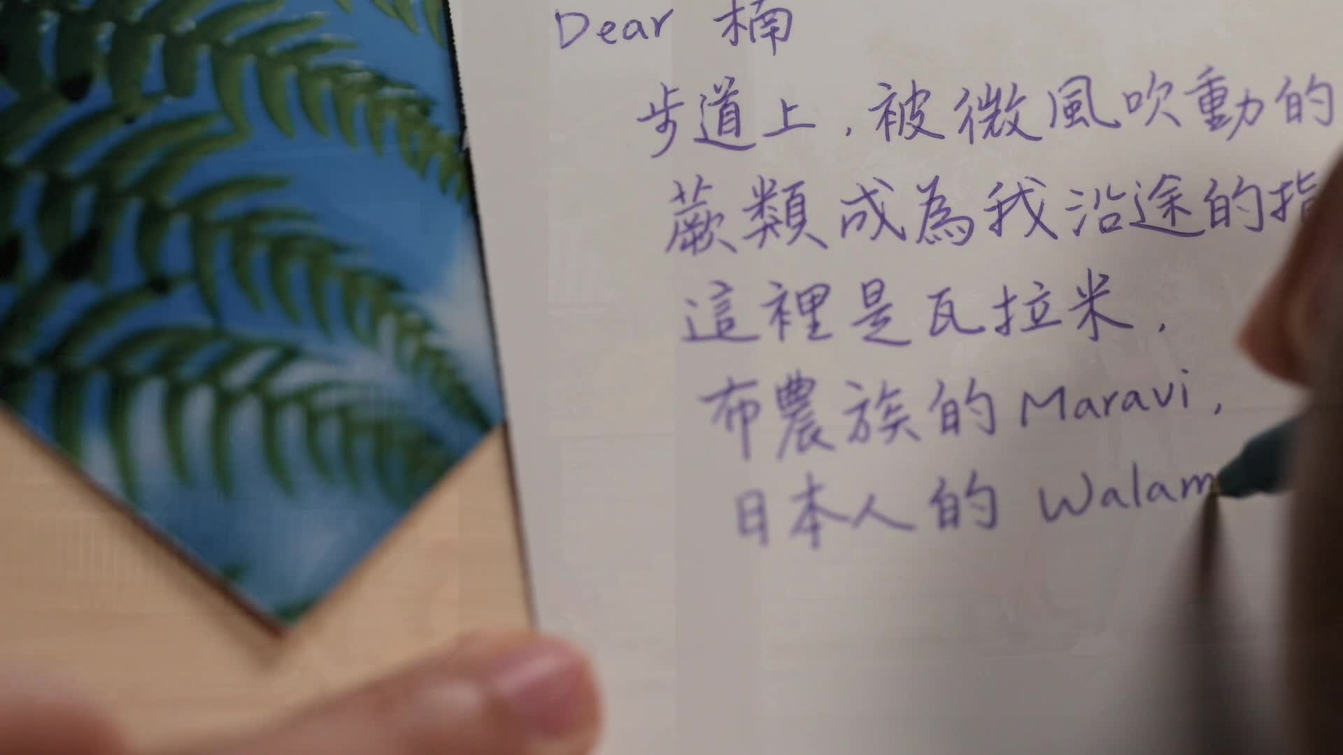 來自南安的明信片