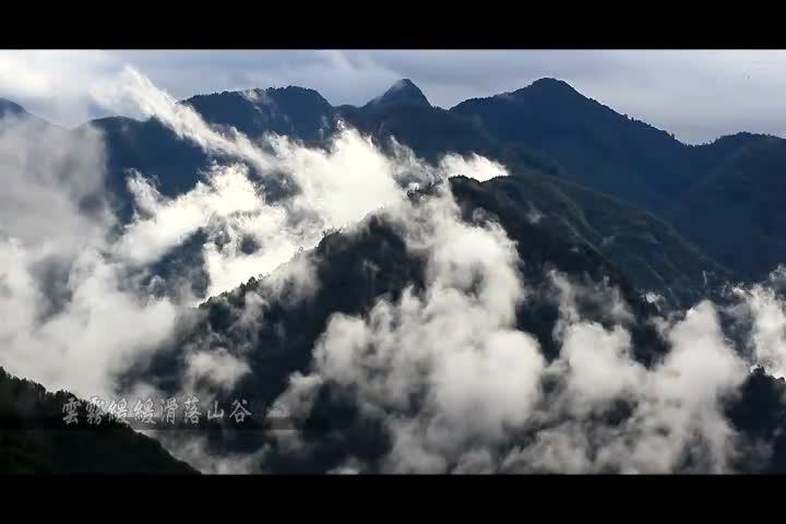 映像觀霧：盡在不言中