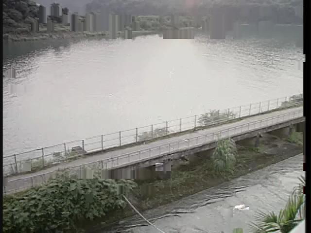 九歲那年