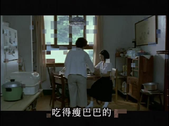 那年夏天的浪聲