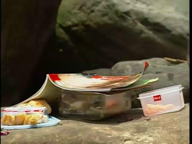 在親密與孤獨間飄流的愛情