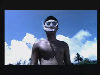 夢遊夏威夷