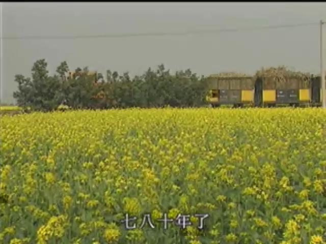 軌道傳奇-4
五分仔小火車