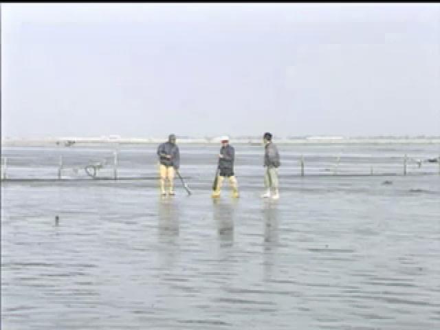 新鄉野大地-10
鯤身新天地：台灣西南海埔地