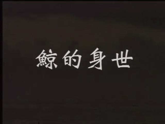 台灣地平線-4
鯨的身世