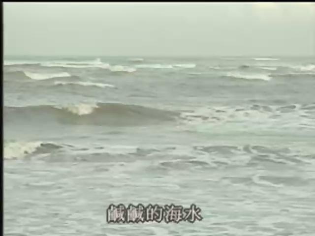 台灣地平線-10
鹽的養份(北門鹽田)