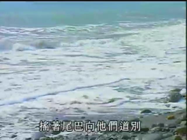 台灣地平線-32
遙祭大海的精靈