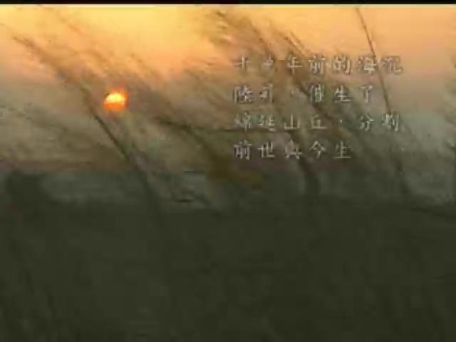 台灣地平線-48
溼地失樂園