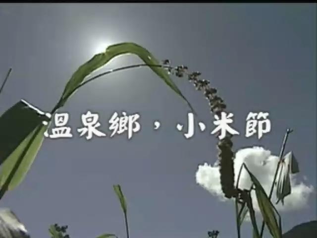 台灣地平線-55
溫泉鄉,小米節