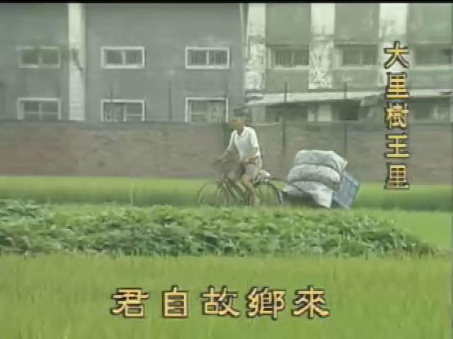 懷鄉探源-12
大里大樹大人物