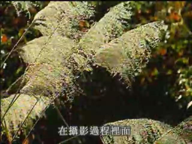 書寫島嶼-3
大地有情─《大地有情》(陳月霞)