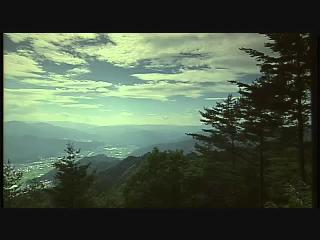 城市的遠見-7
古川町物語