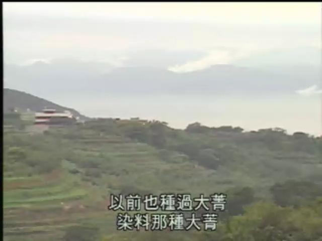 台北新故鄉-17
坪頂水噹噹