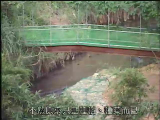 台北新故鄉-18
內溝溪畔水潺潺