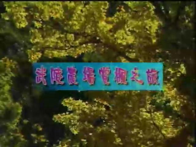 跟我遊台灣-8
台中縣之旅 (B)