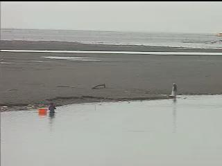 河川與聚落-3
從河口到彼岸─濁水溪下游的河口港
