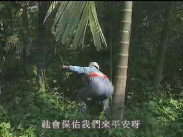 台灣站起來-1
長夜的盡頭：九二一當夜