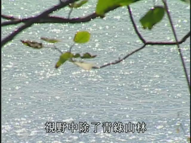 台灣古道誌5
【蘇花古道】之斷崖天險路 