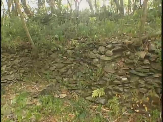 台灣古道誌7
【浸水營古道】之前山路