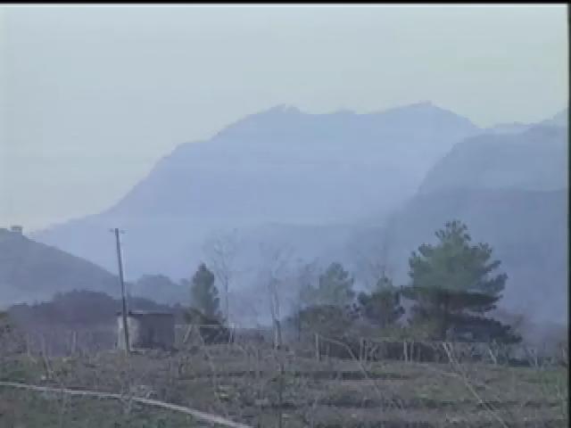 台灣民俗十二月令篇10
立冬小雪迎陽月
