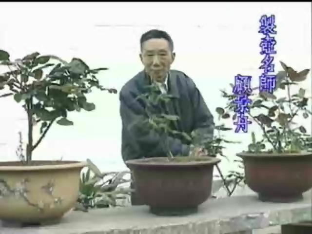 鄉、藝、人-4
典雅雋秀─宜興紫砂壺