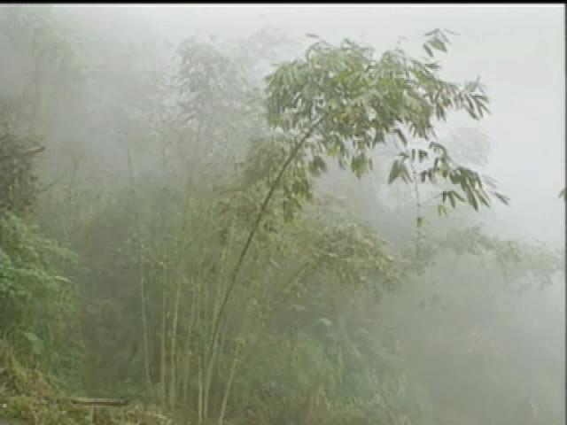 鄉、藝、人-8
竹絲傳情─瓷胎竹編