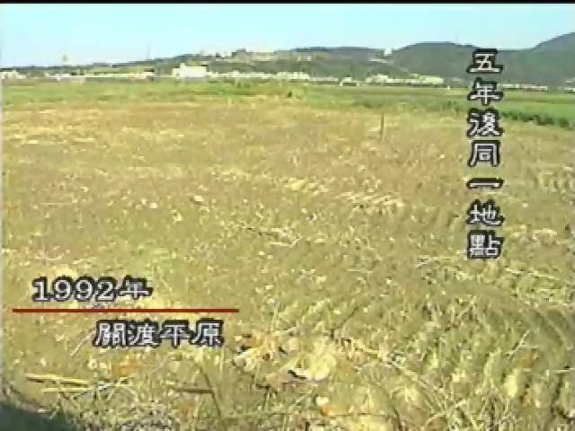 歲時台灣-4
十年台灣