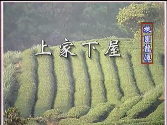 大禾埕-1
龍潭三坑仔，陳永淘，茶山情歌