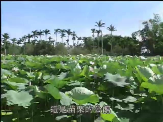 大禾埕-2
苗栗公館，顏志文，賴碧霞