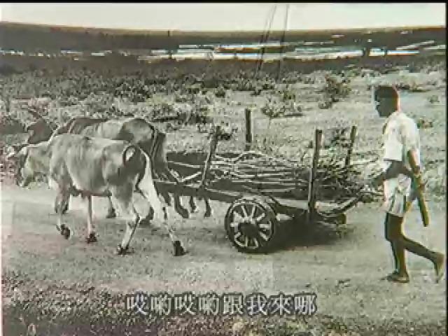 發現客家-11
記得老頭擺 