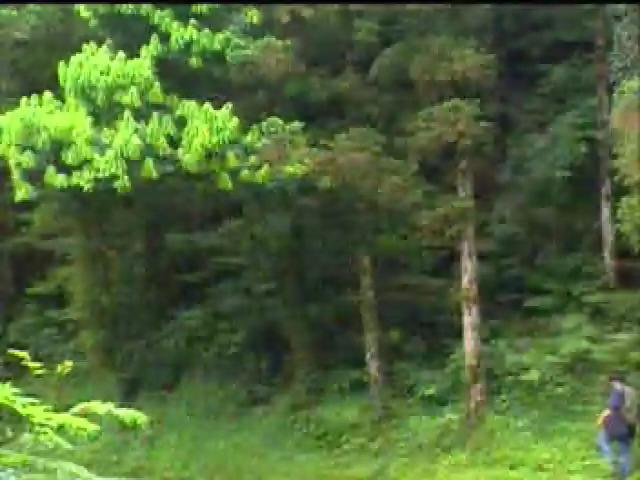 搖滾祖靈-13
太魯閣藝術家  瑁瑁瑪邵