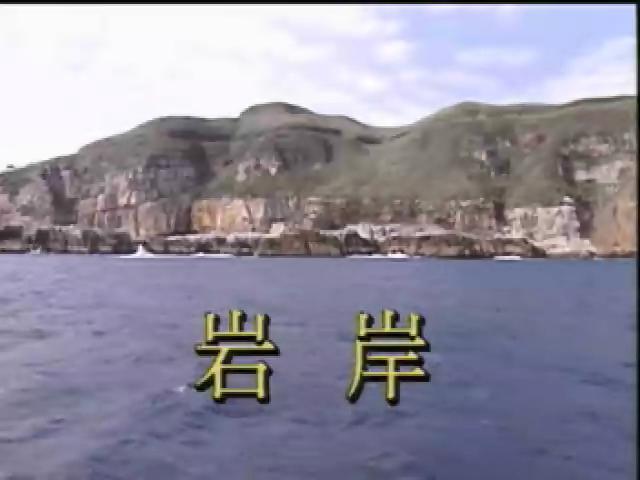 台灣瑰寶-6
岩岸