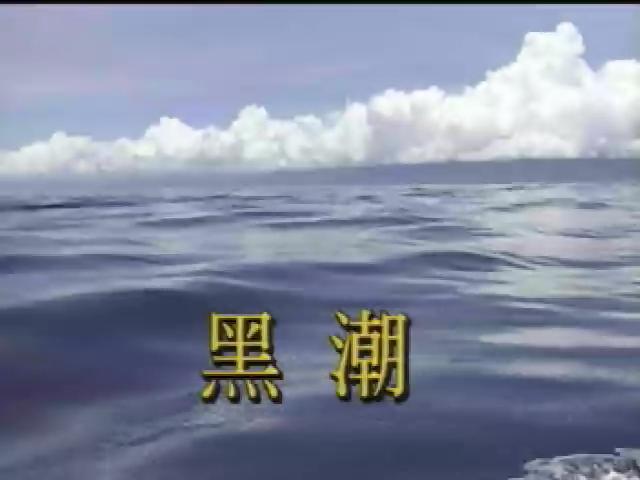 台灣瑰寶-11
黑潮