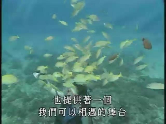 台灣瑰寶-重回海洋-1
面對大海-海洋序曲 