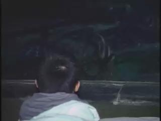 台灣瑰寶-重回海洋-8
海洋之夢-海洋牧場