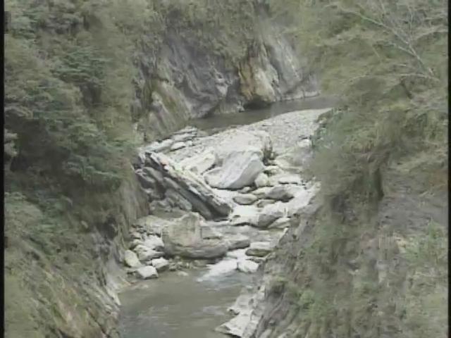 台灣特稀有生物-3
鉛色水鶇