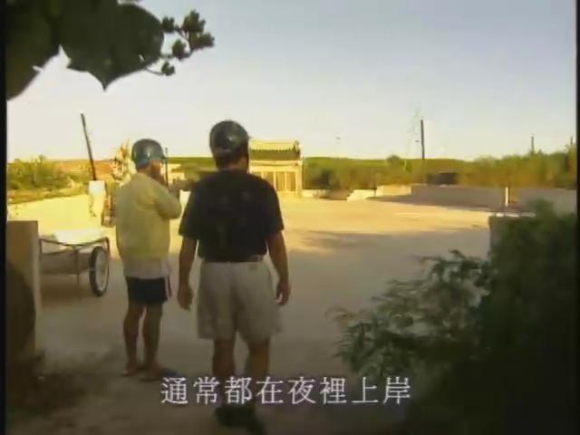 台灣特稀有生物-17
綠蠵龜