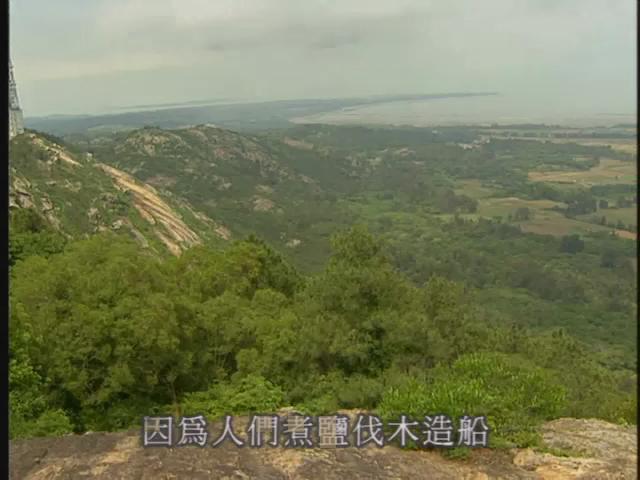台灣特稀有生物-19
栗喉蜂虎