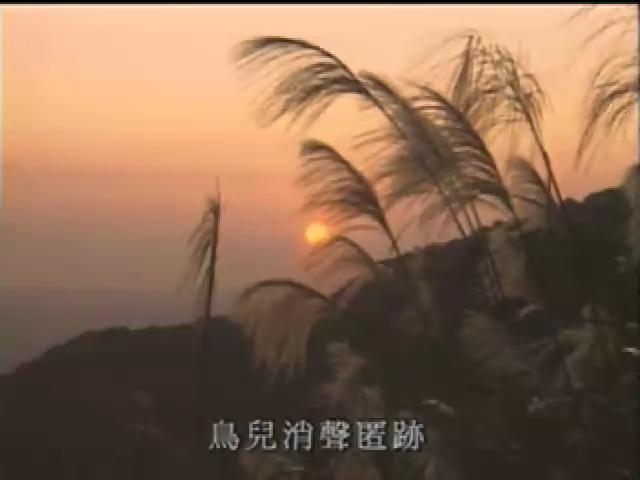 奇妙的昆蟲-12
蟋蟀