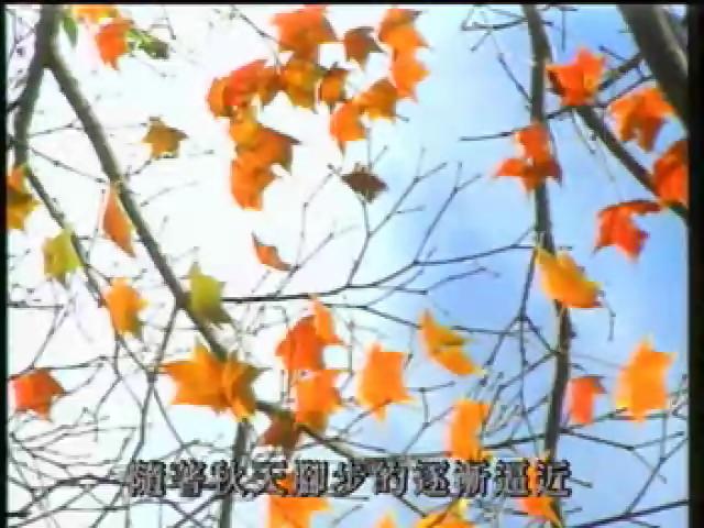 奇妙的昆蟲-13
虎頭蜂