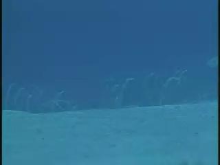 瀛海水晶宮-3
蘭嶼八代灣