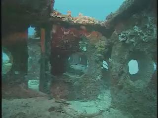 瀛海水晶宮-4
滄海桑田的藍色革命