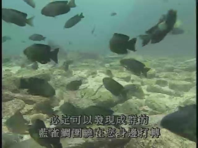 瀛海水晶宮-6
東北角海洋之旅