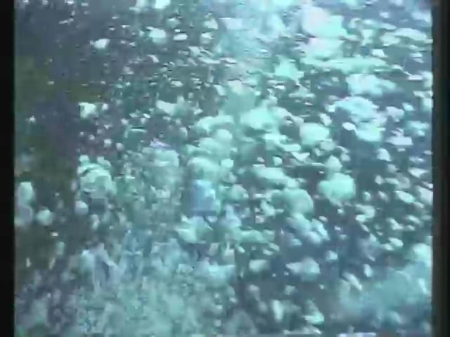 瀛海水晶宮-7
南台灣的誘惑─南灣