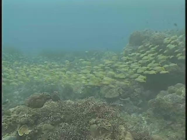 瀛海水晶宮-9
船帆石
